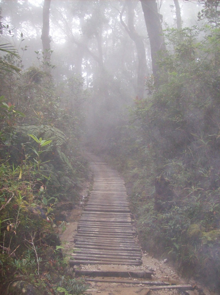 Weg im Nebel