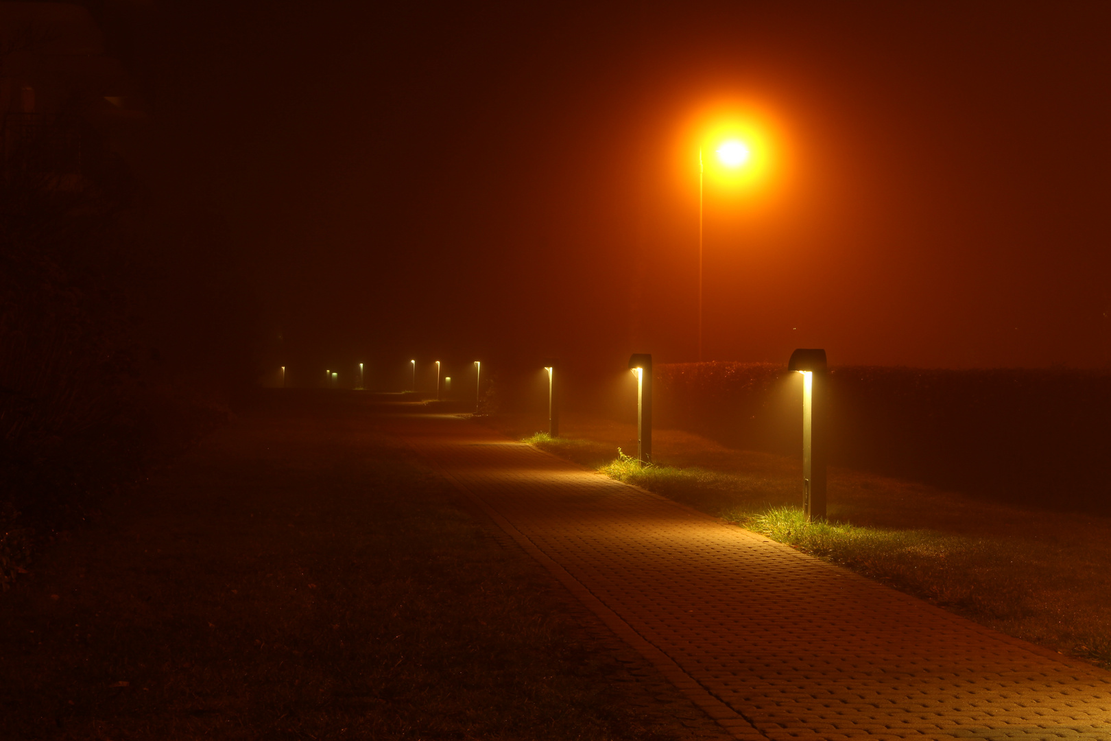 Weg im Nebel