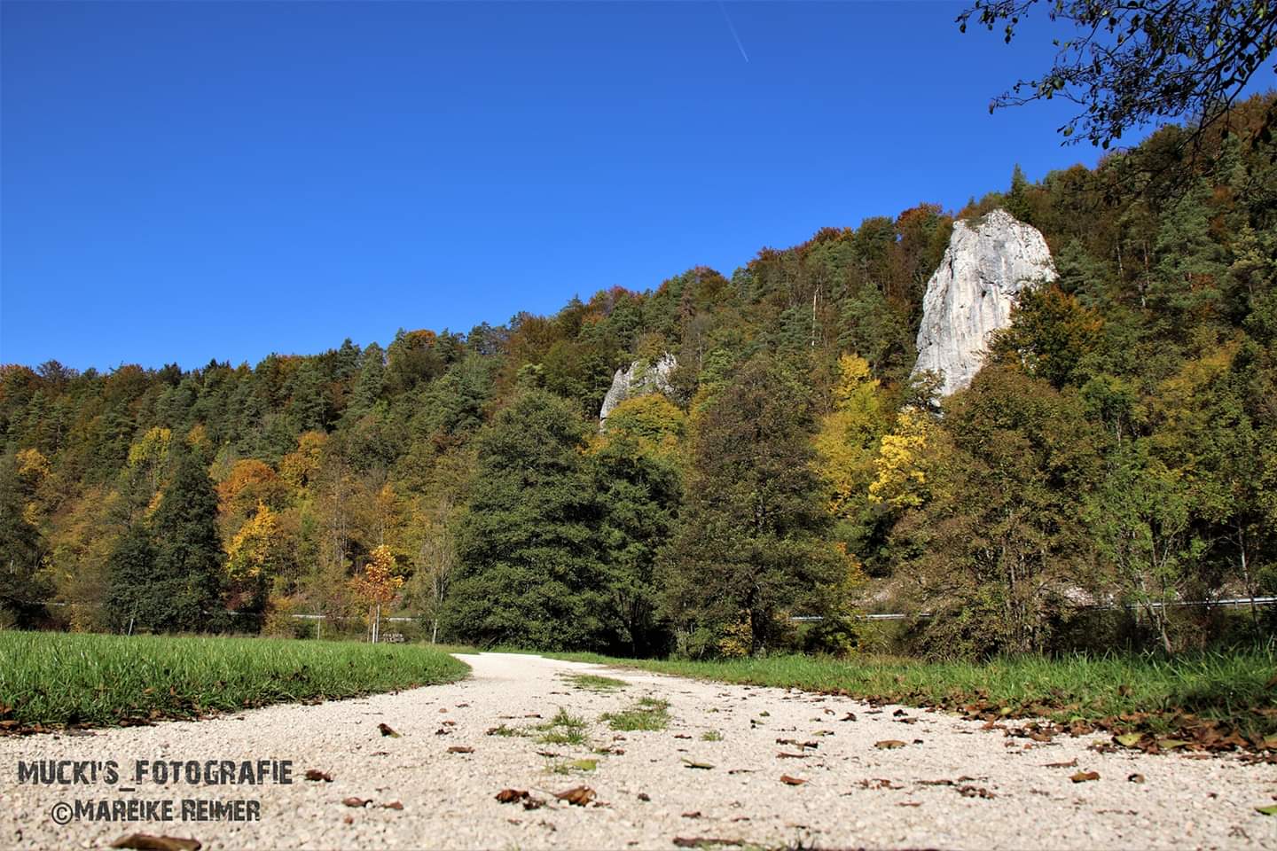 Weg im Pegnitztal