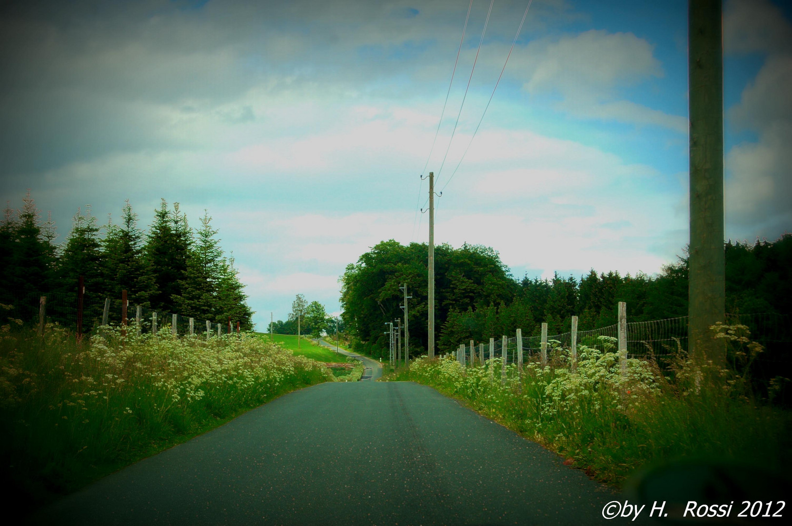 Weg im Sauerland