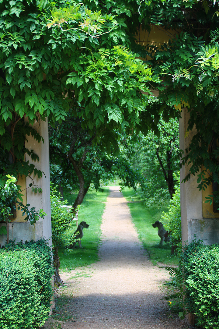 Weg im Schlosspark Dennenlohe