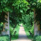 Weg im Schlosspark Dennenlohe