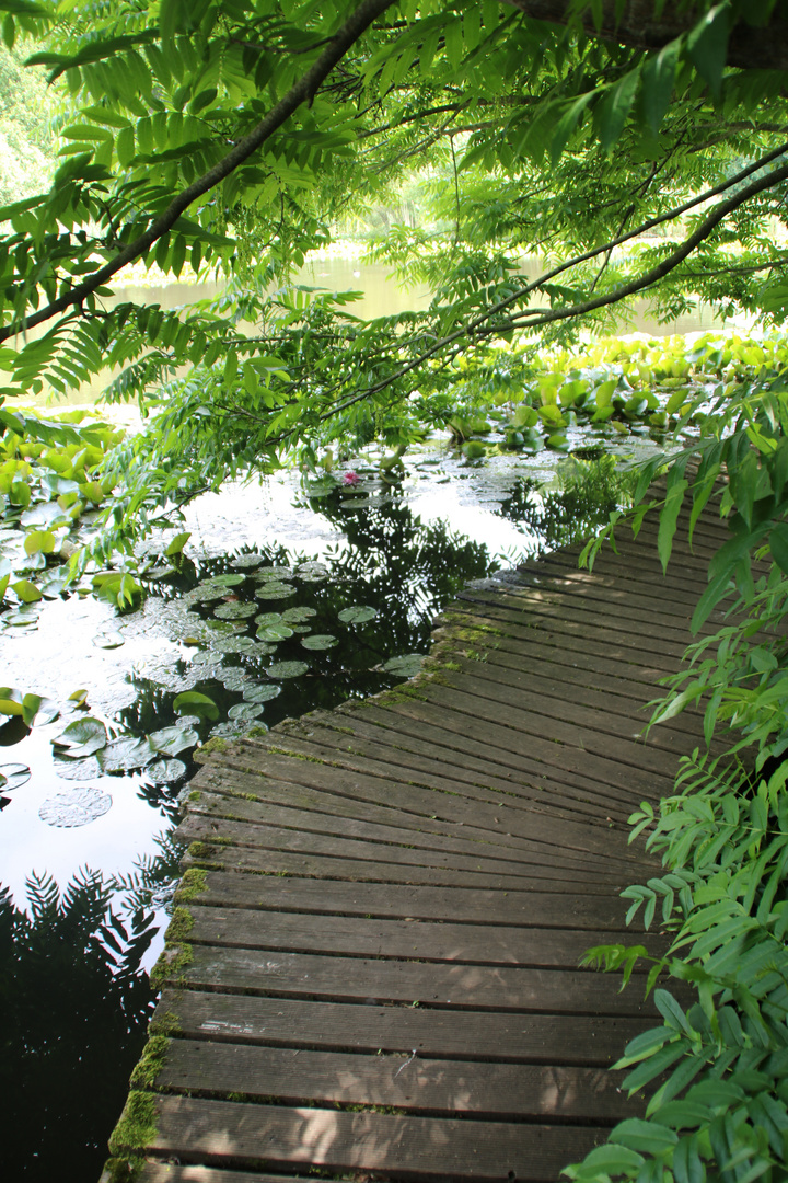 Weg im Schlosspark Dennenlohe