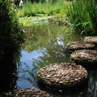 Weg im Schlosspark Dennenlohe