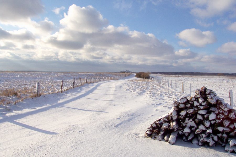 Weg im Schnee