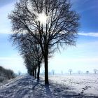 Weg im Schnee mit Wintersonne