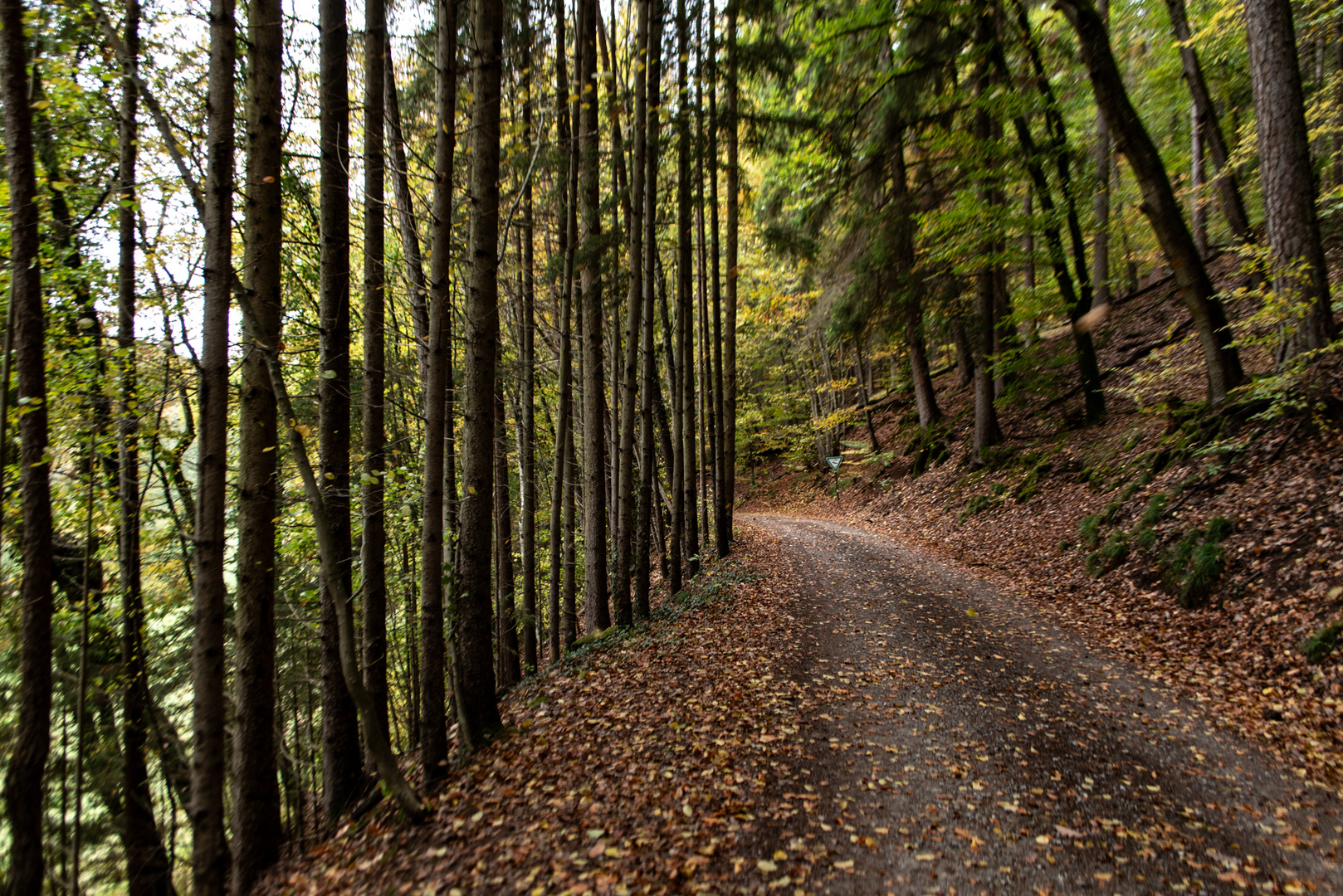 Weg im Siebenmühlental