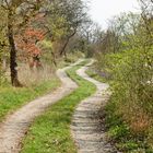 Weg im Vorfrühling