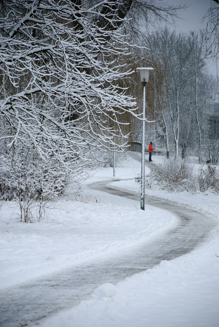 Weg im Winter