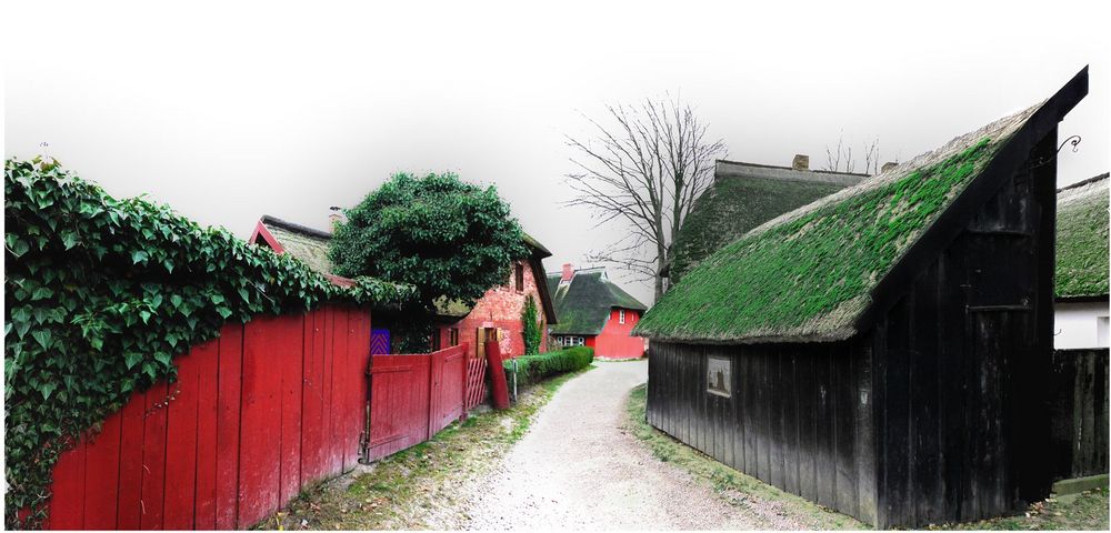 Weg in Ahrenshoop (Darß, Ostsee)