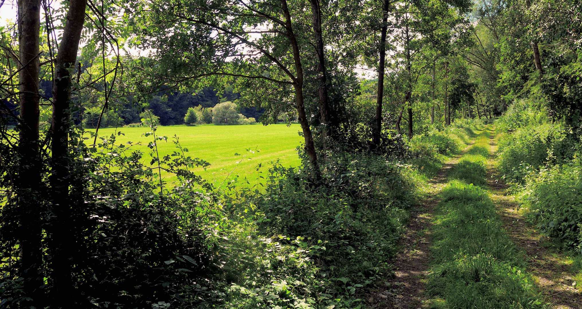 Weg in Au nahe der Sieg