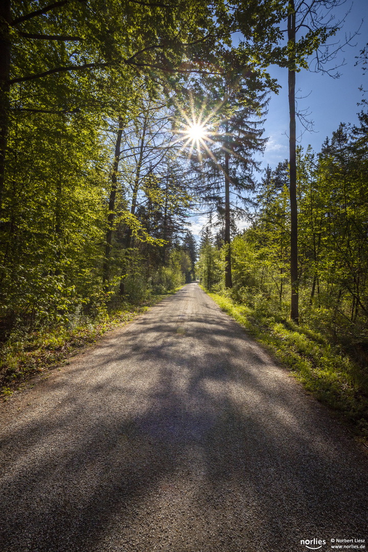 Weg in das Licht