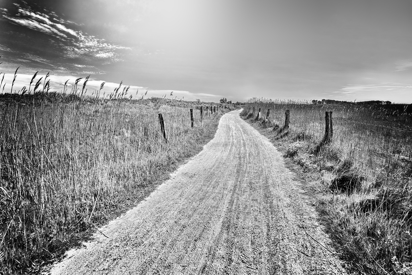 Weg in den Dünen