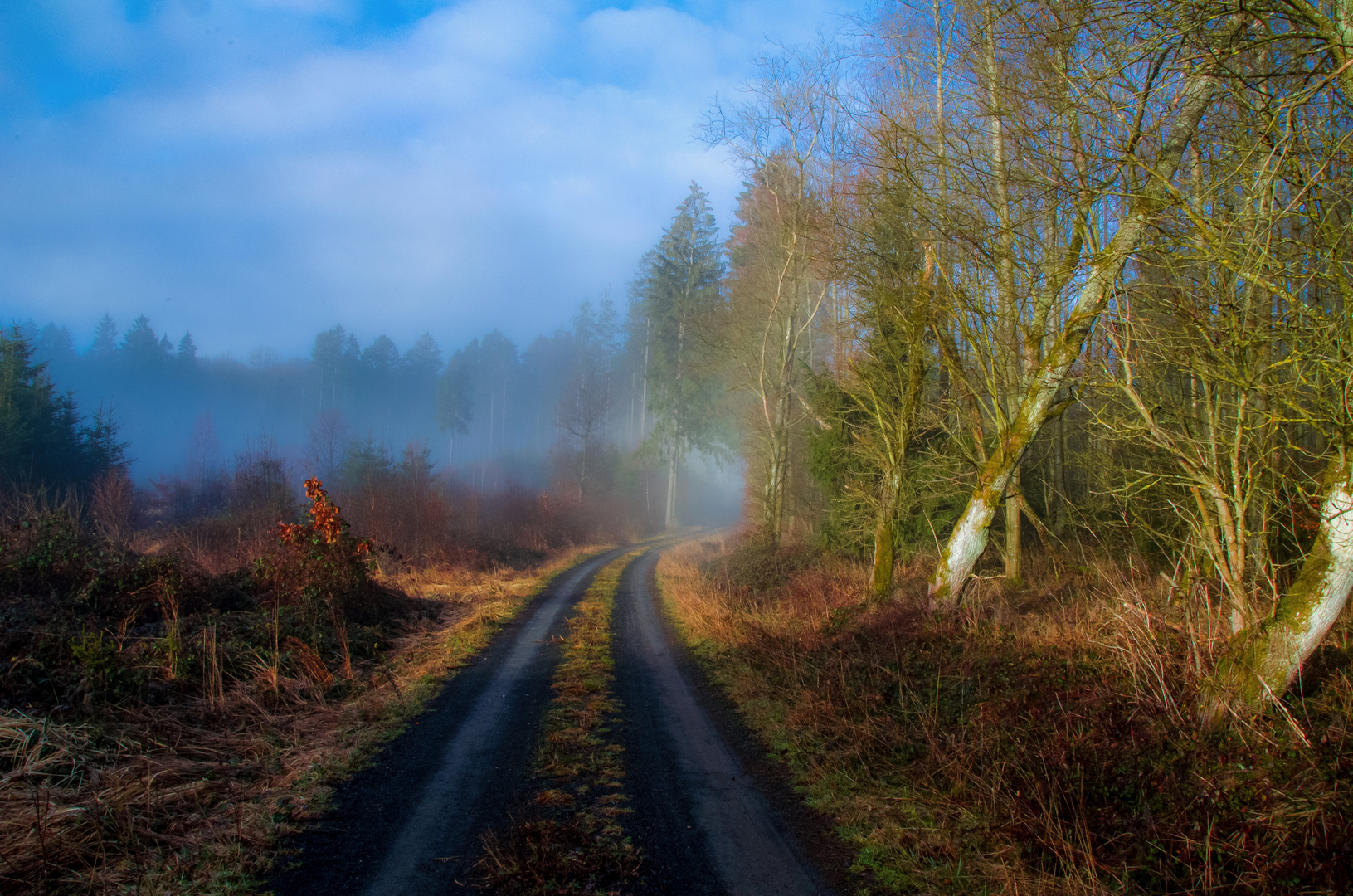 Weg in den Dunst