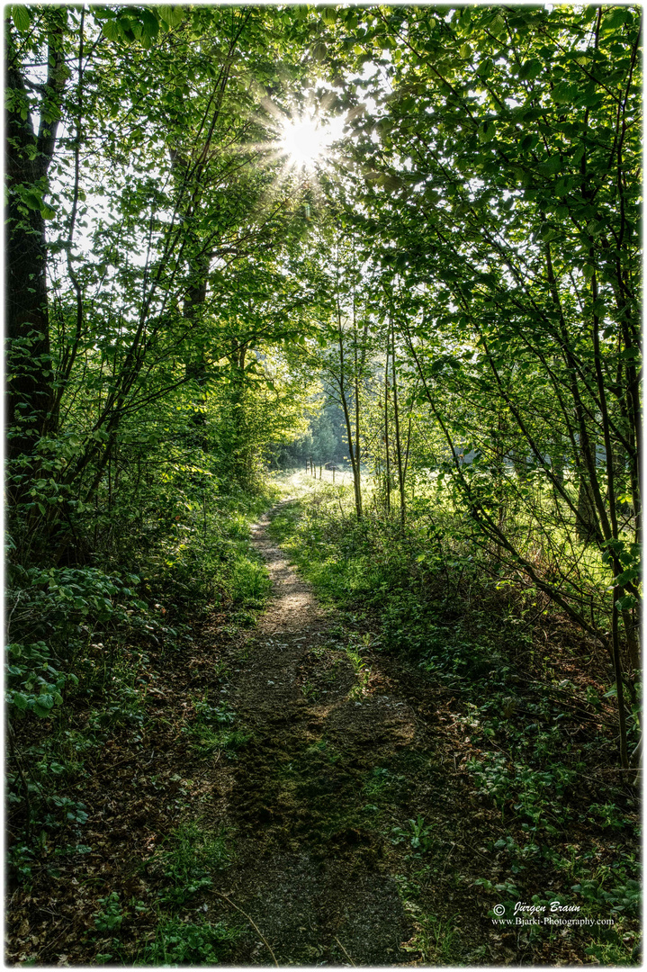 Weg in den Fleuthkuhlen