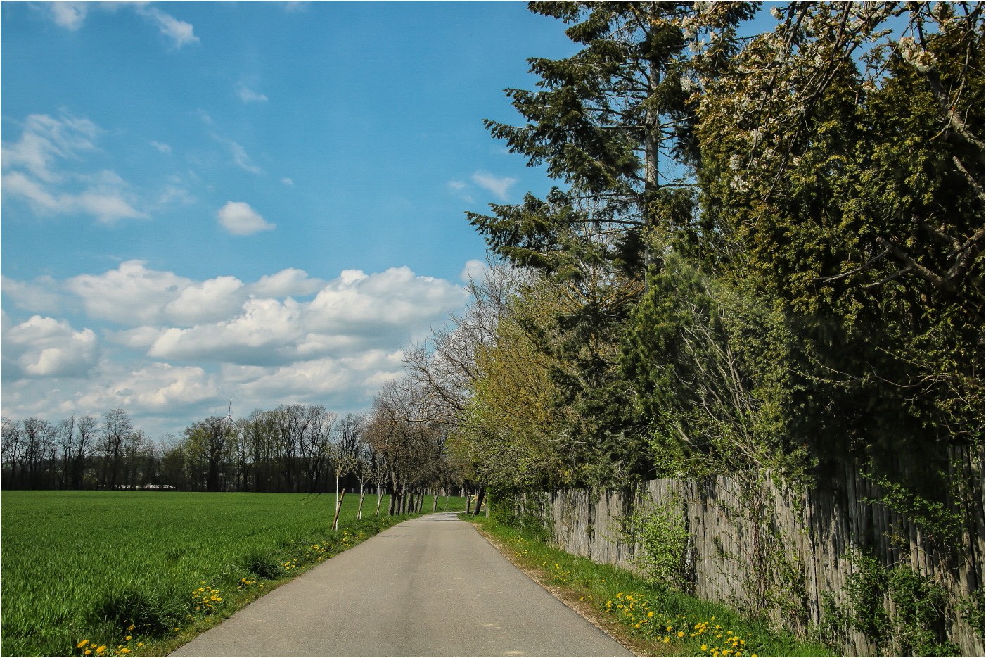 Weg in den Frühling