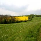 Weg in den Frühling 2