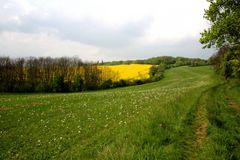 Weg in den Frühling 2