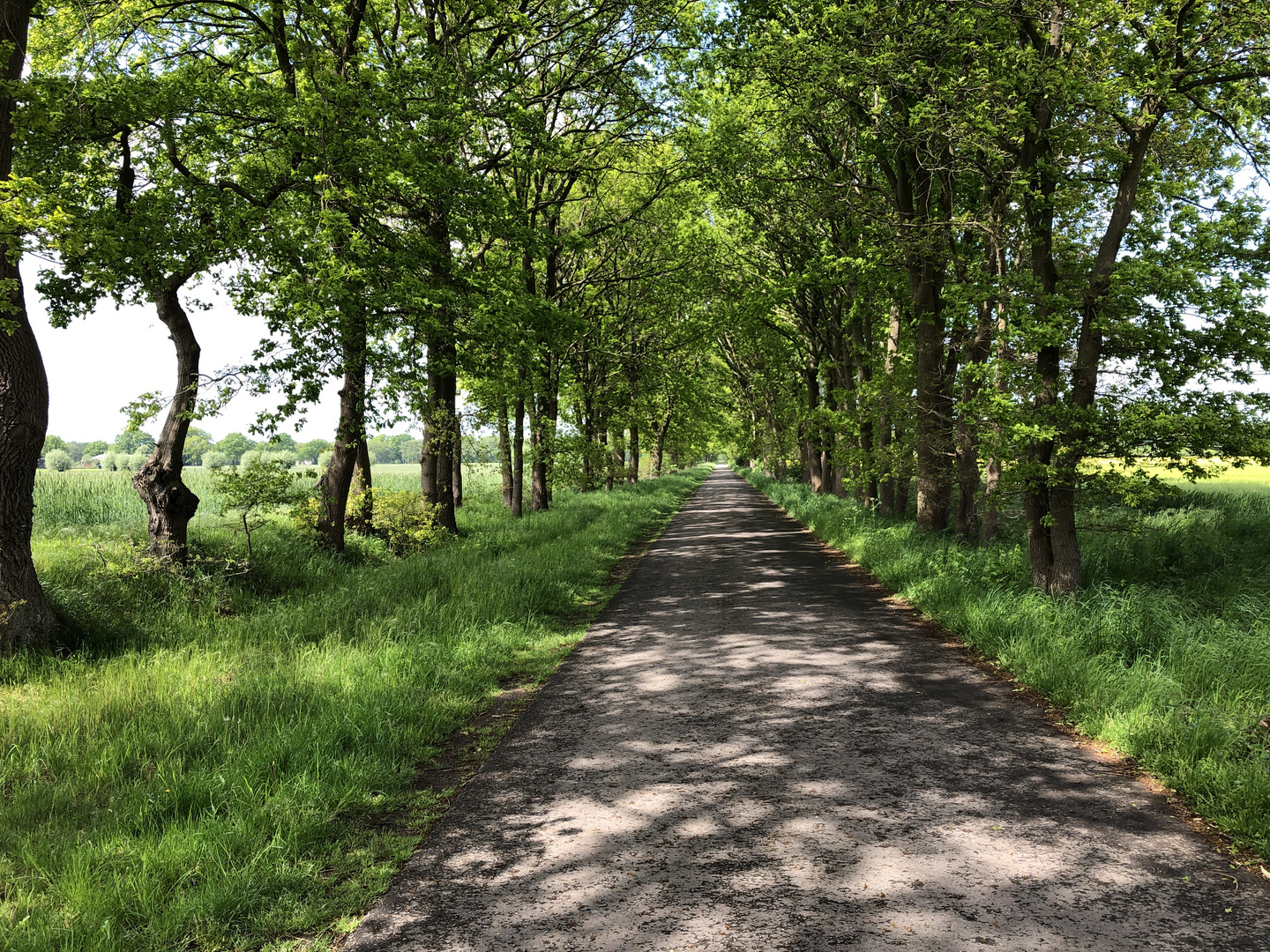 Weg in den Frühling