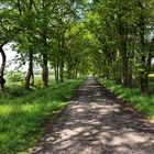 Weg in den Frühling