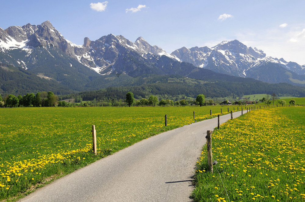 Weg in den Frühling