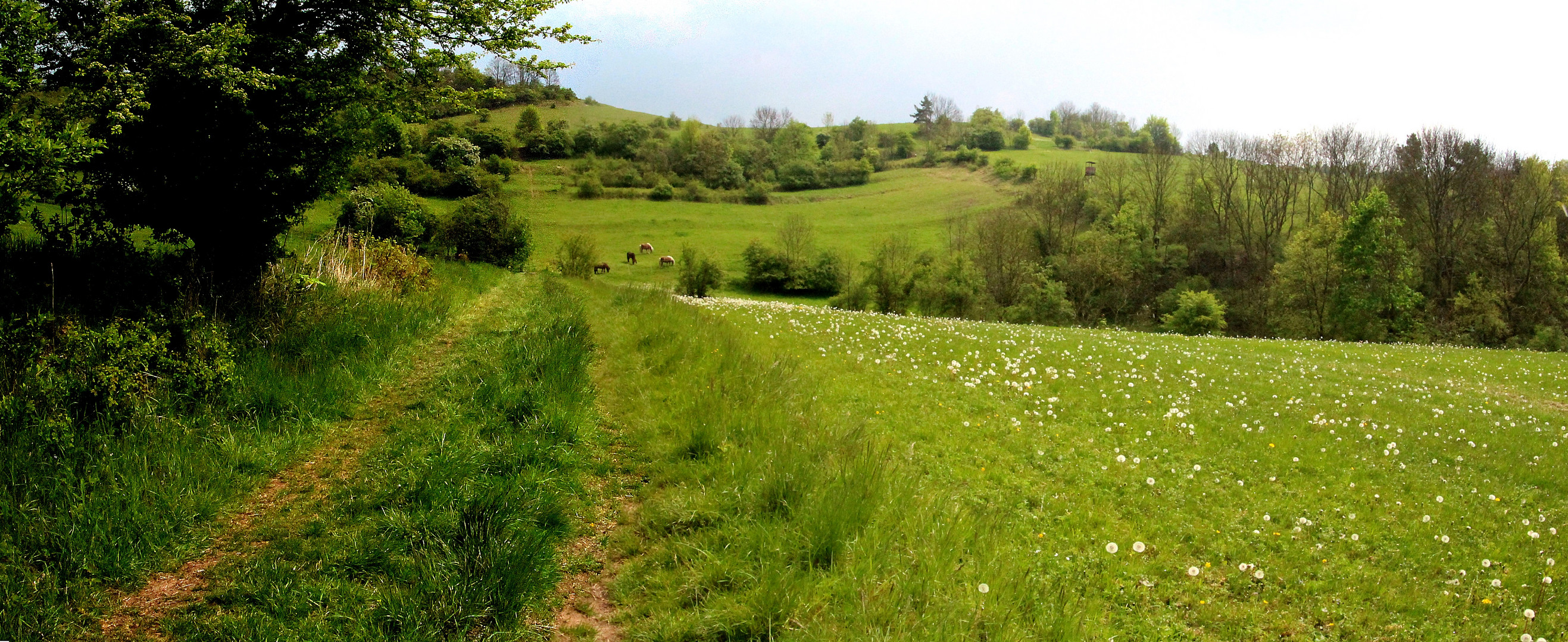 Weg in den Frühling