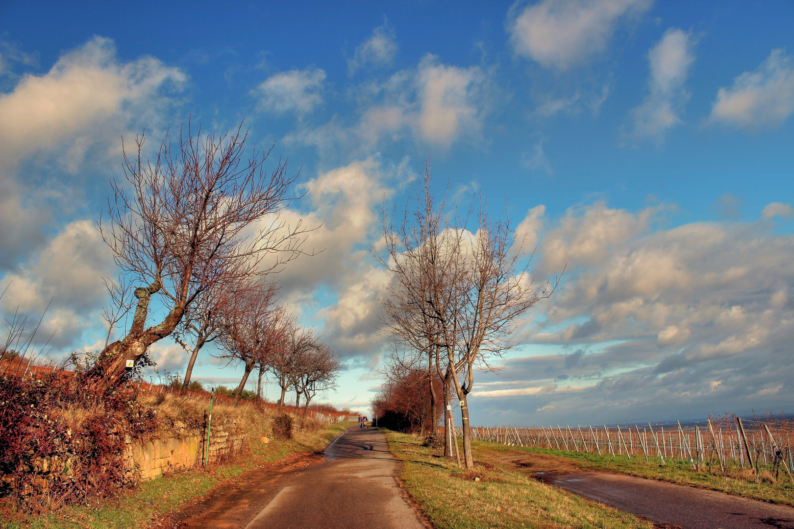 Weg in den Frühling