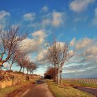 Weg in den Frühling