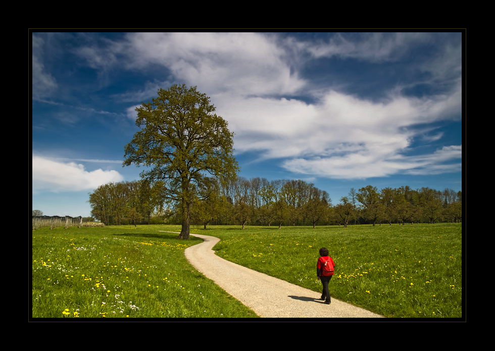 Weg in den Frühling