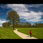 Weg in den Frühling