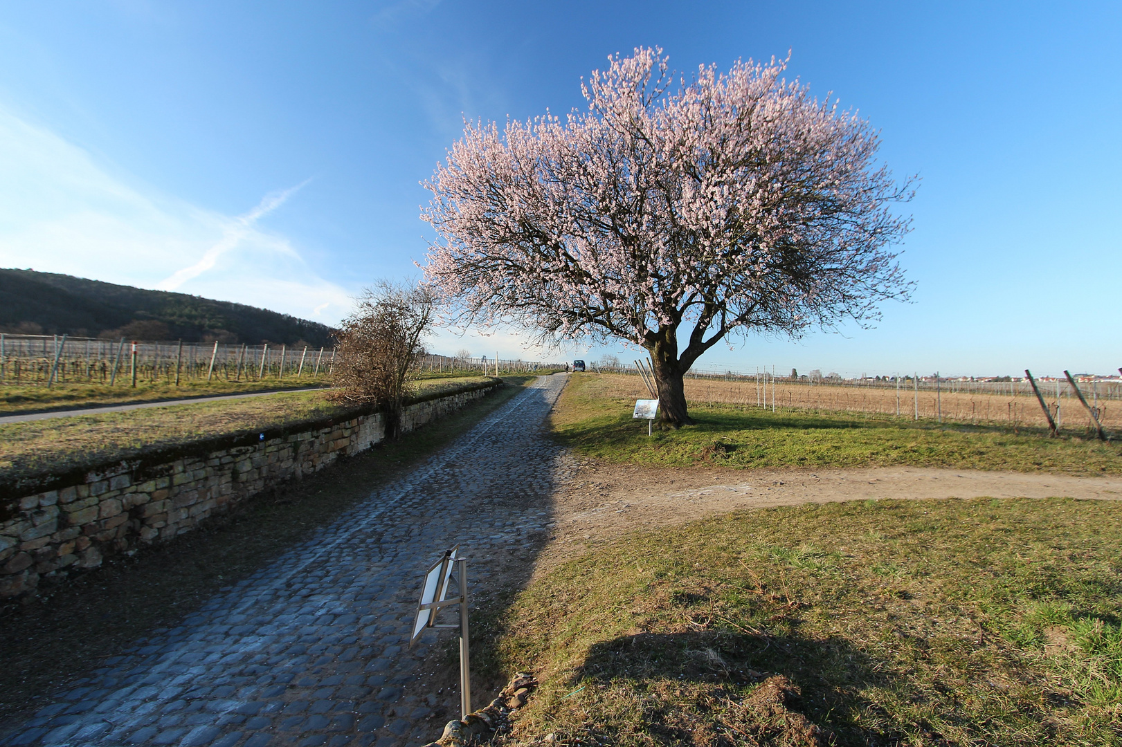 Weg in den Frühling