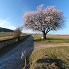 Weg in den Frühling