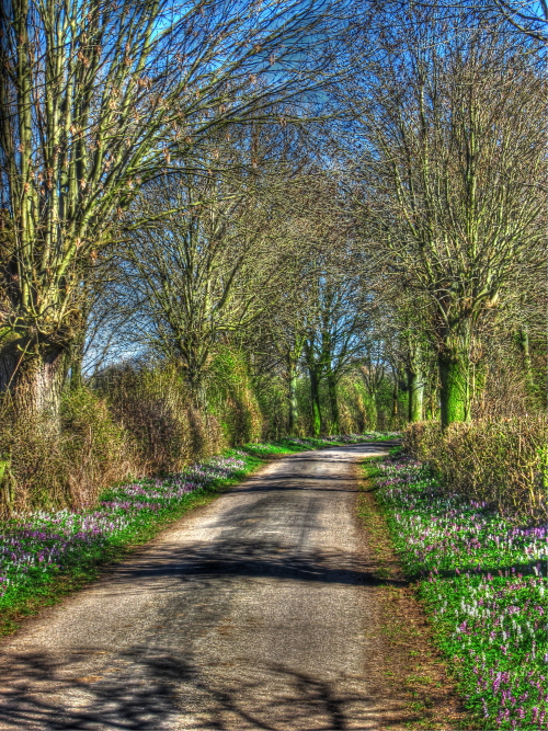 Weg in den Frühling