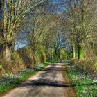 Weg in den Frühling