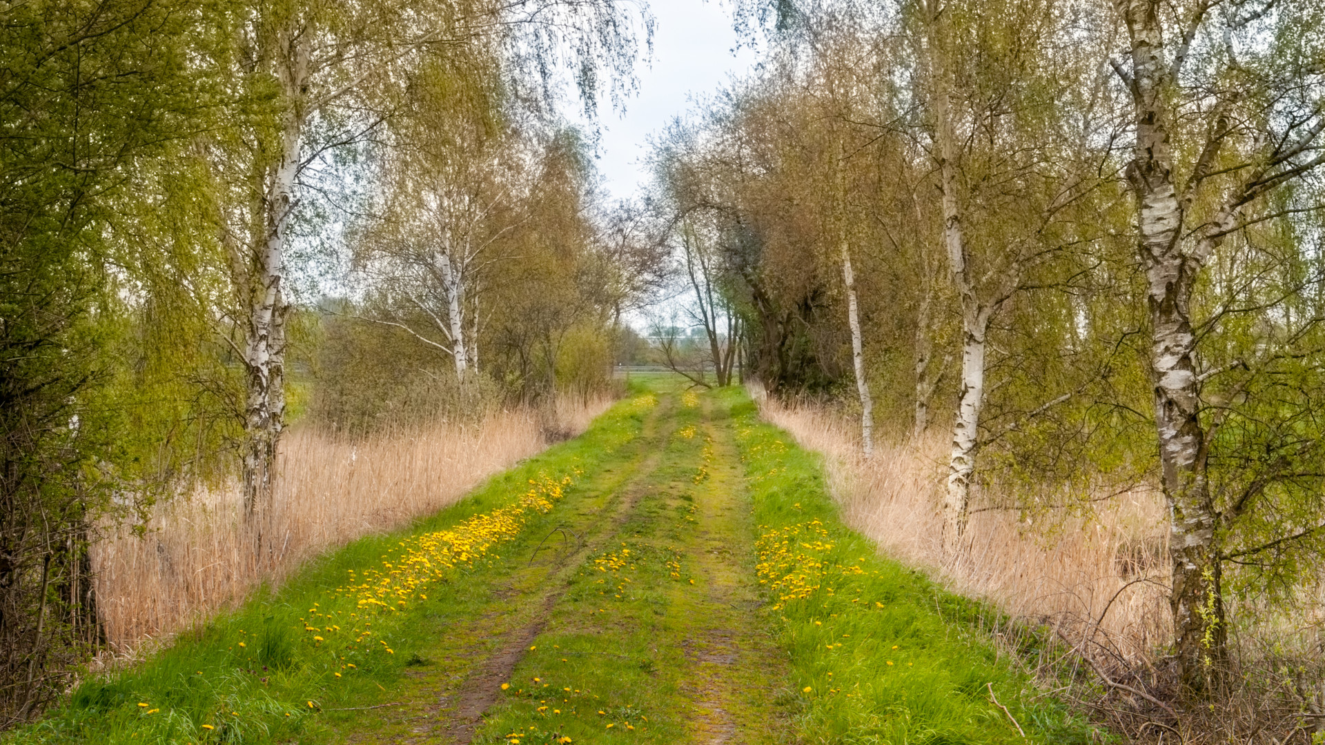 Weg in den Frühling