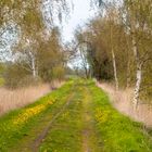 Weg in den Frühling