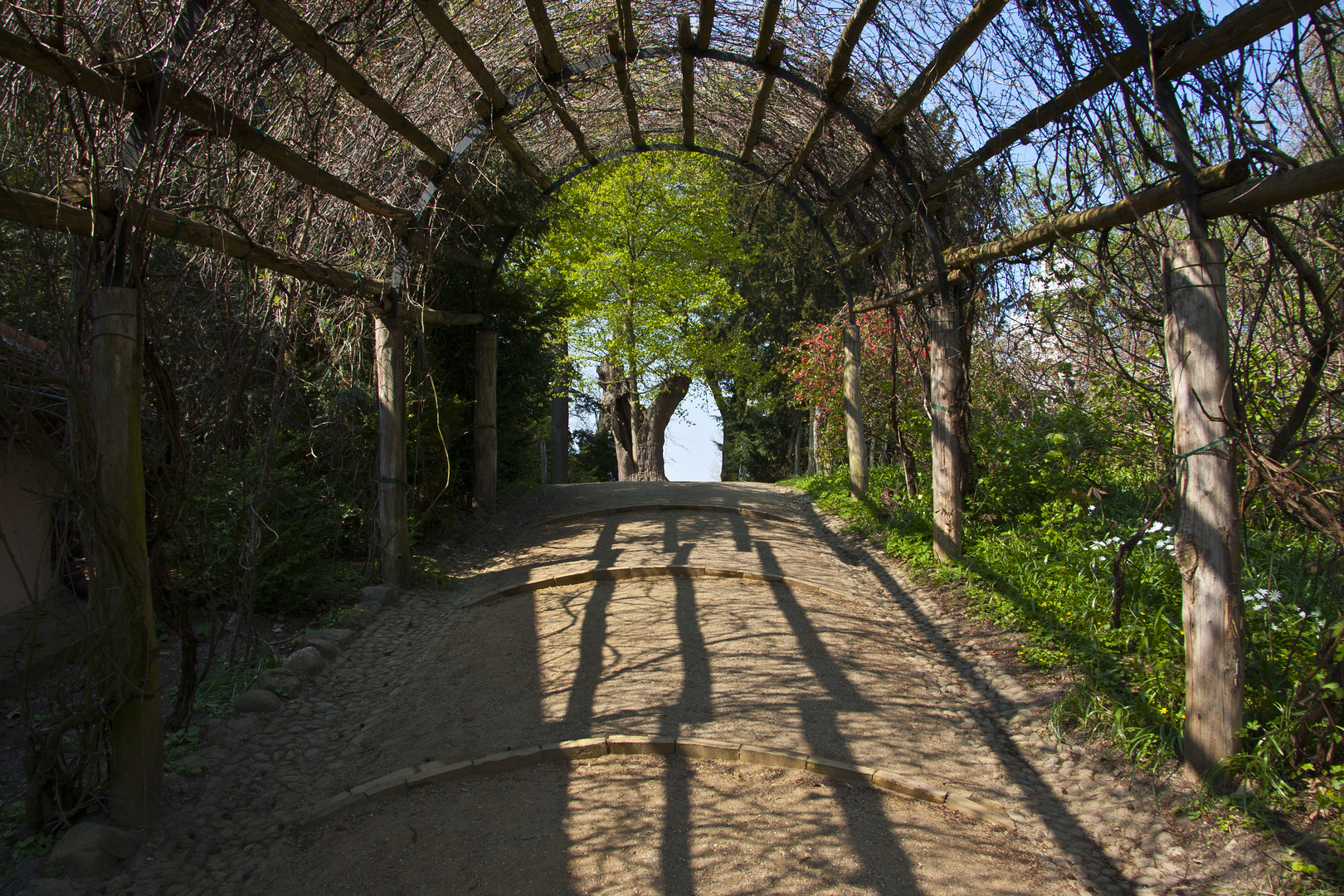 Weg in den Frühling