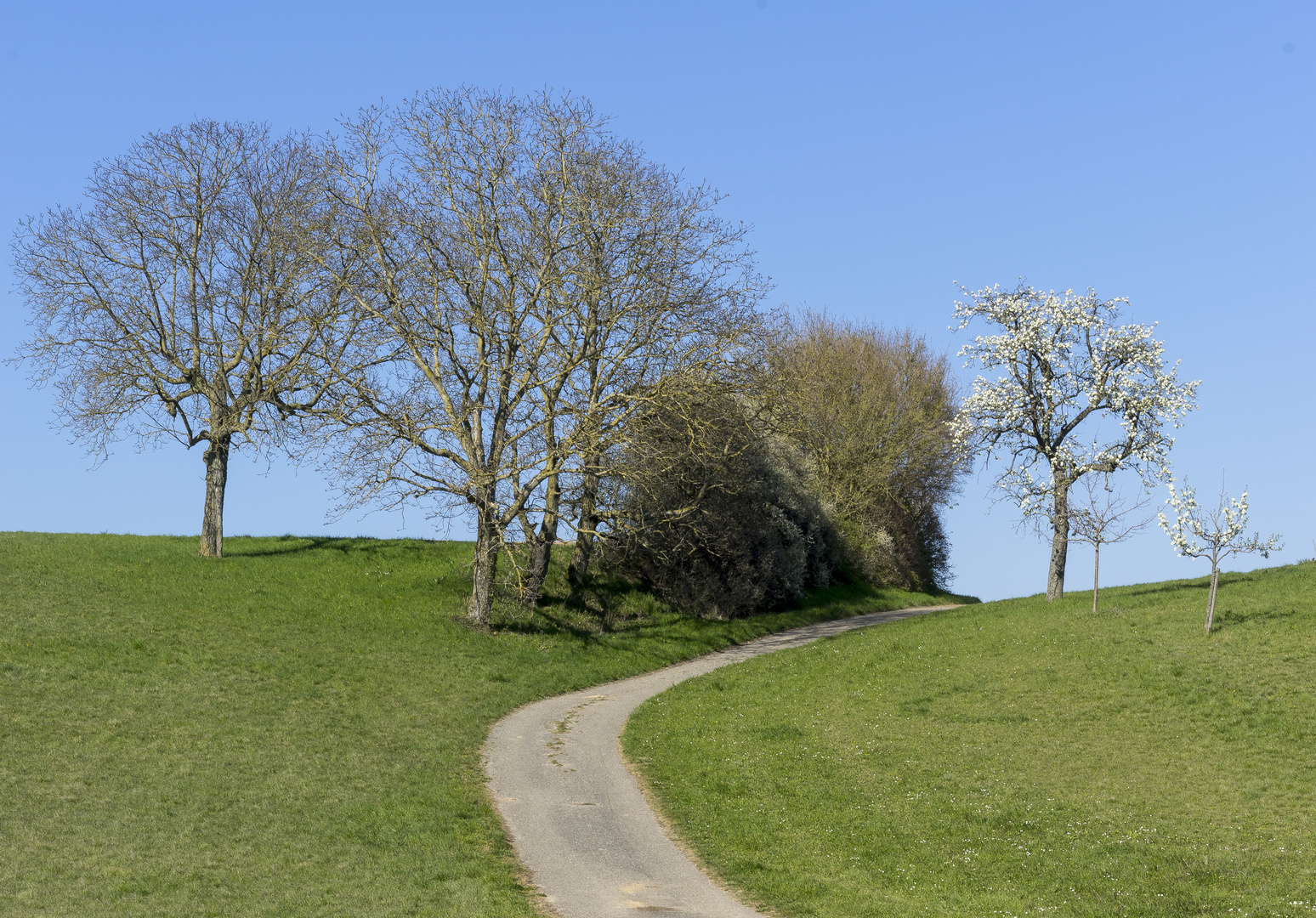 Weg in den Frühling