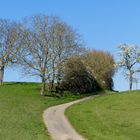 Weg in den Frühling