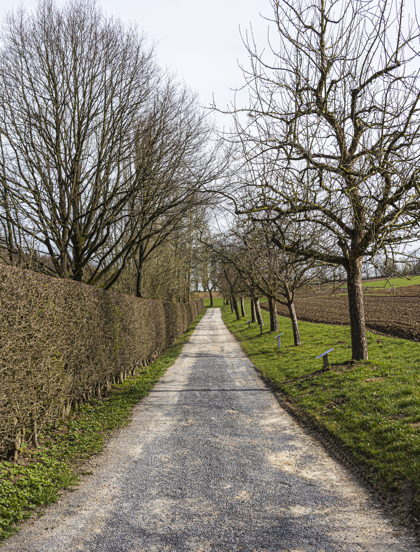 Weg in den Frühling