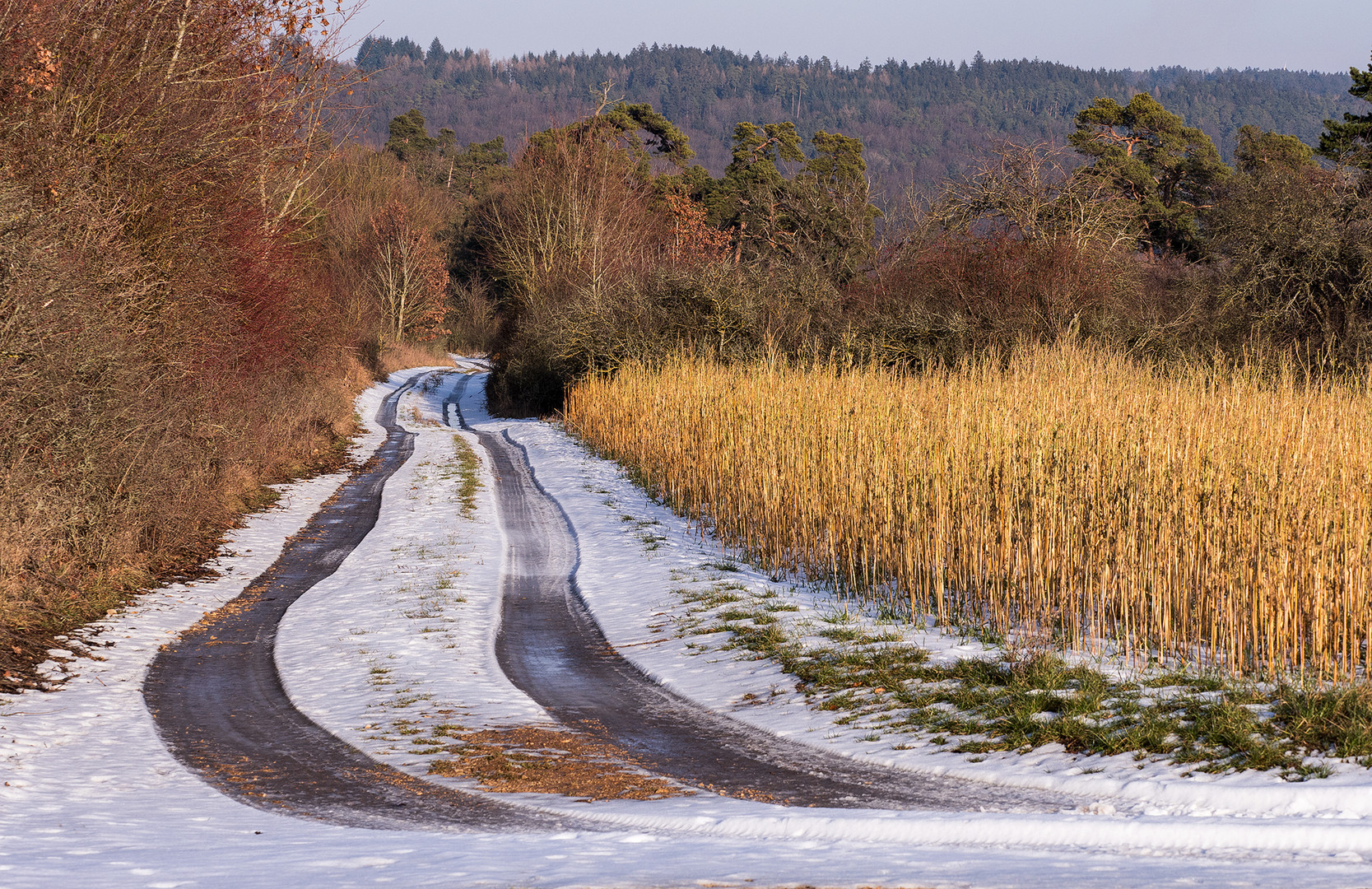 Weg in den Frühling