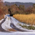 Weg in den Frühling