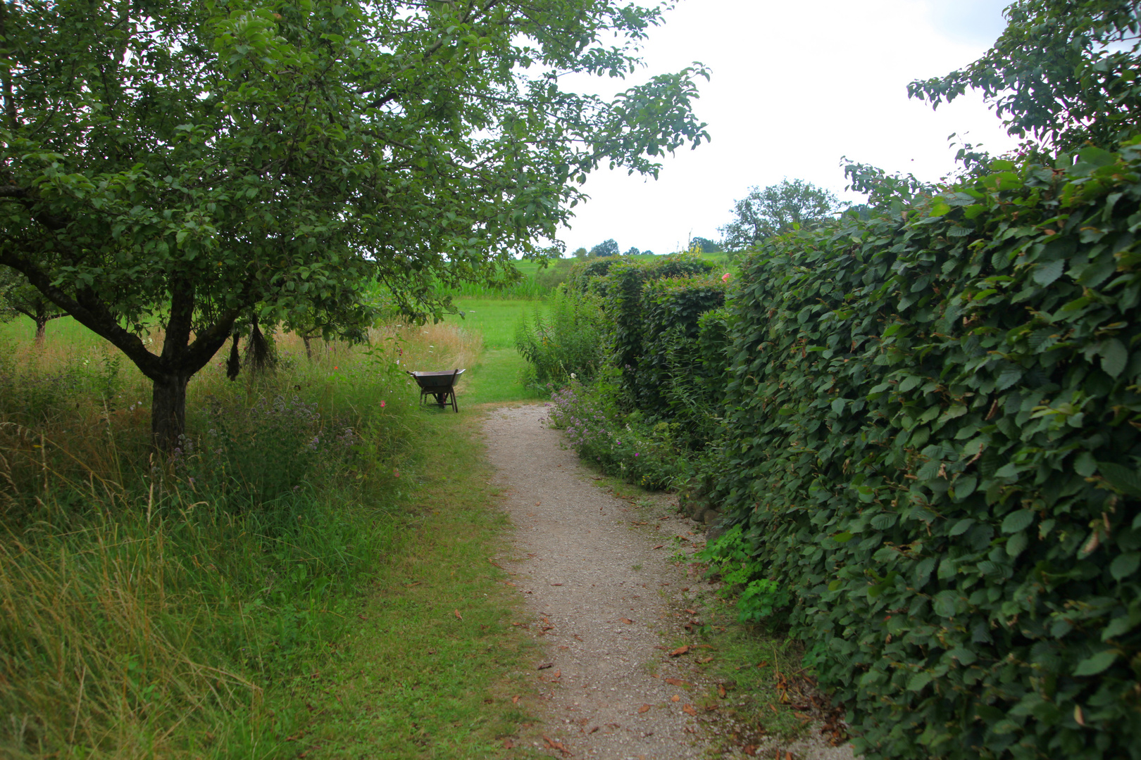 Weg in den Garten