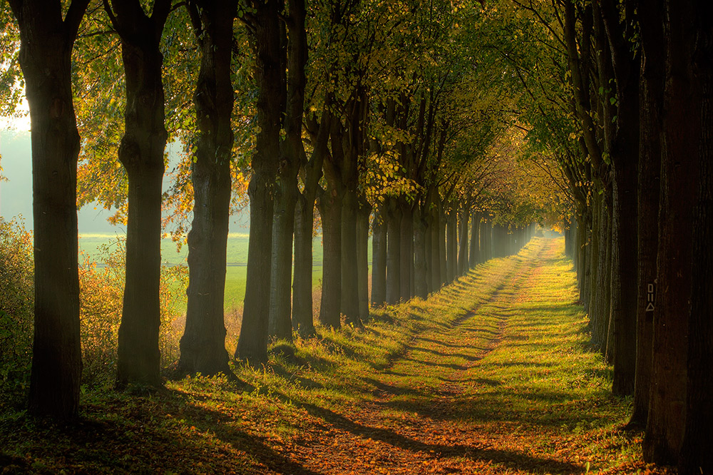 Weg in den Herbst...