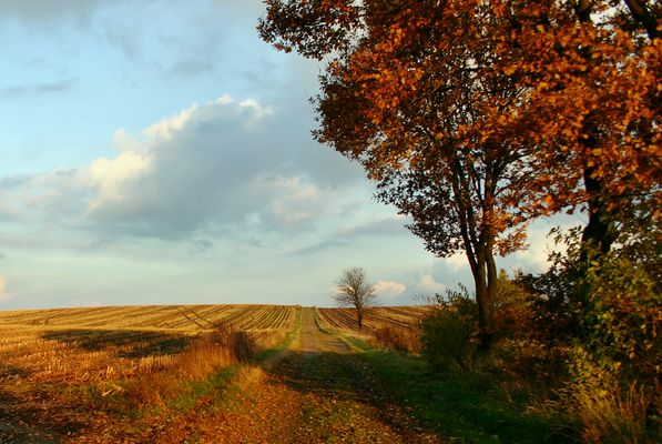 Weg in den Herbst