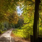 Weg in den Herbst