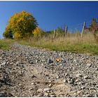 Weg in den Herbst