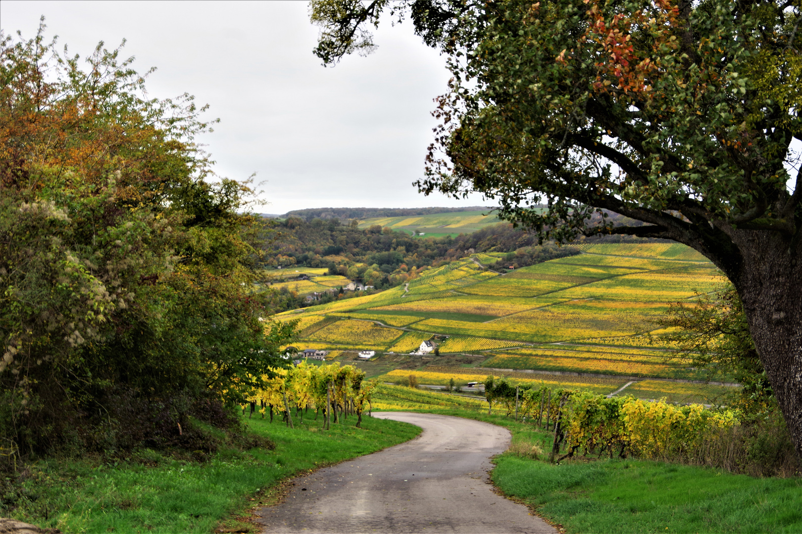 Weg in den Herbst