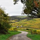 Weg in den Herbst