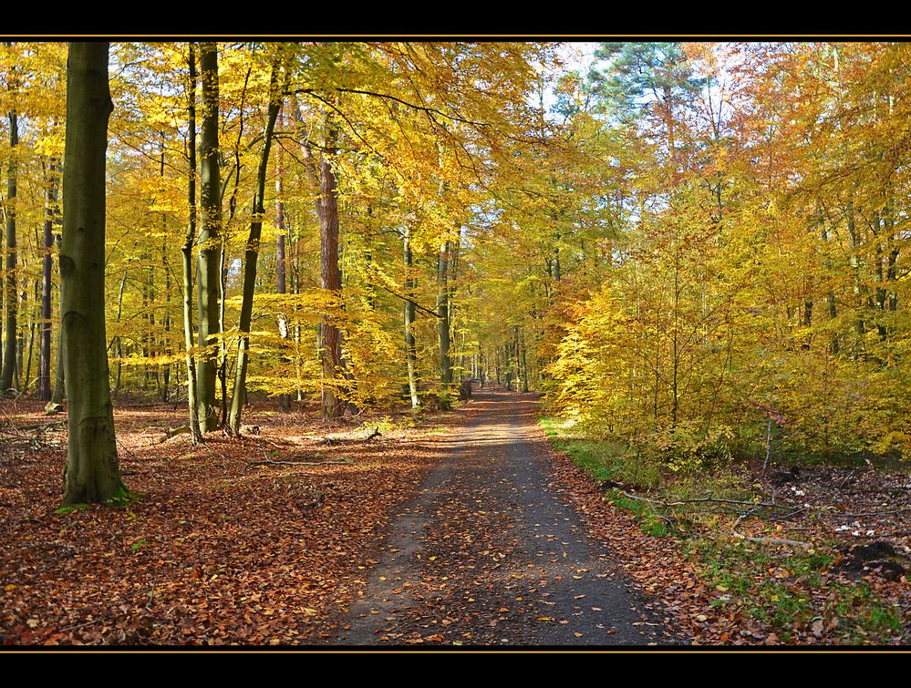 Weg in den Herbst